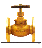 Globe Steam Stop Valve