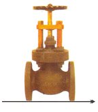 Globe Steam Stop Valve