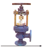 Globe Steam Stop Valve