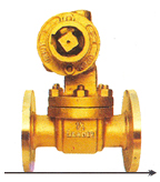 Parallel Slide and Blow Off Valves