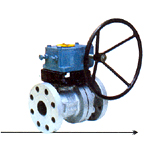 CS/FS Ball Valves