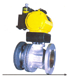 CS/FS Ball Valves