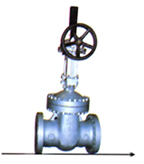 Cast Steel Gate Valves